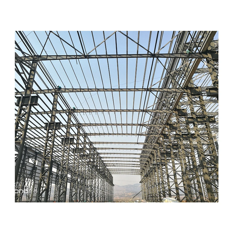 Light Steel Structure Construction Project House Warehouse Building