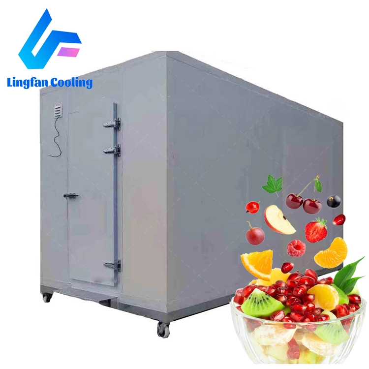 Stainless Steel Industrial Cold Rooms Refrigerator Coldroom Cold Storage for Sale