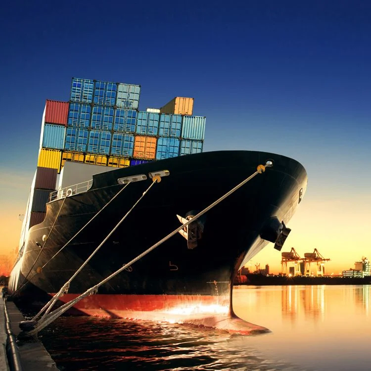 Chinese LCL Sea Freight Forwarder Container Cargo Workable Shipping Freight From China to The United Arab Emirates