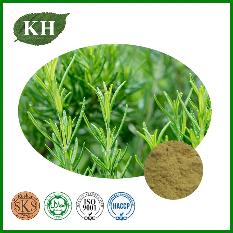 Rosemary Extract: Rosmarinic Acid, Ursolic Acid, Carnosic Acid