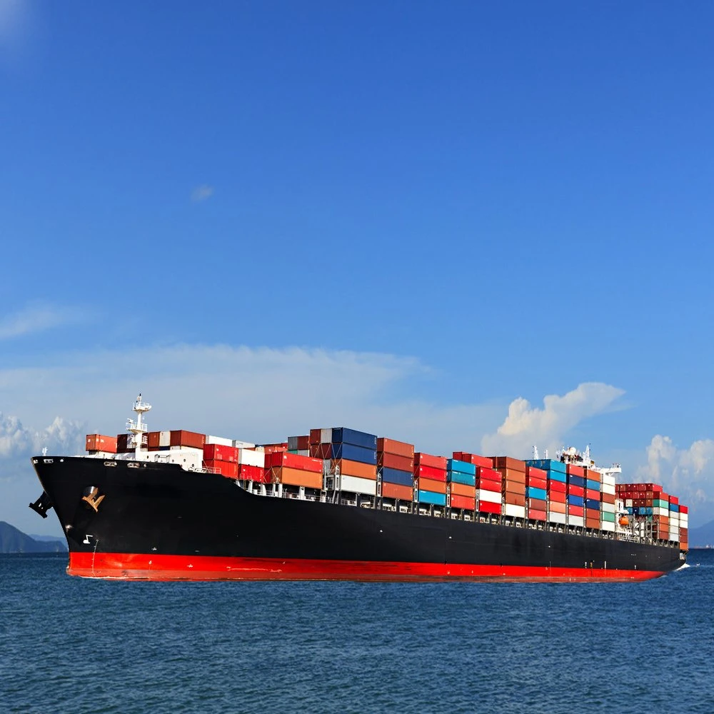 Cheap LCL FCL Sea Shipping and Delivery Service to Argentina Brazil Uruguay Venezuela Peru Colombia From China