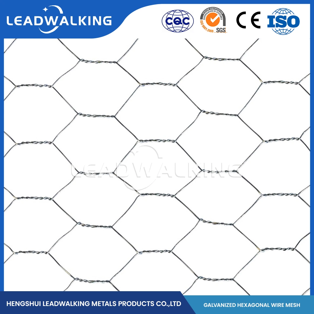 Leadwalking China Acero suave alambre tejido malla fábrica Acero inoxidable Material del alambre 16mm malla PVC Red hexagonal