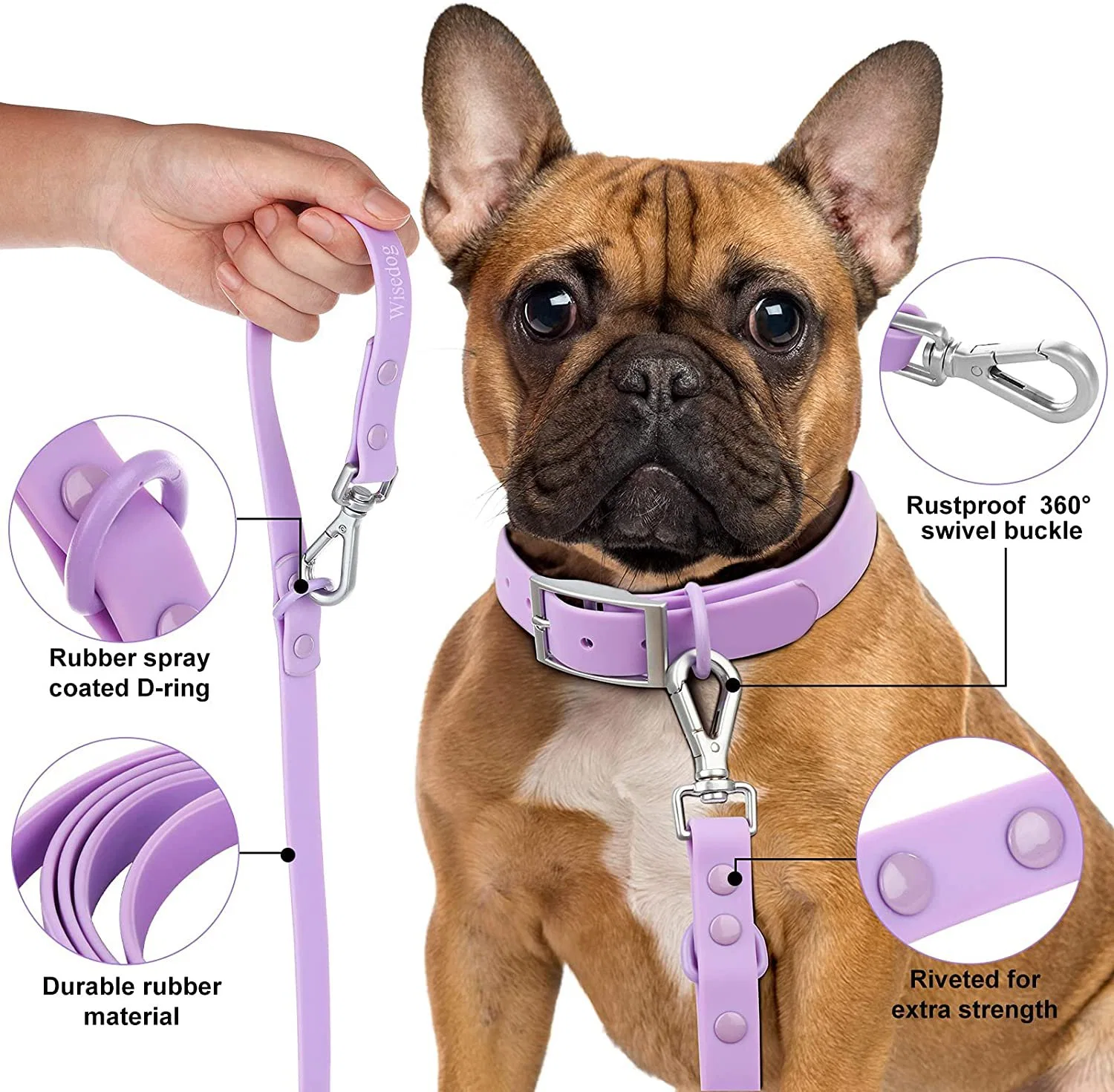 Wasserdichtes PVC-Pet Collar Multi-Color-Set mit Pet-Kabel