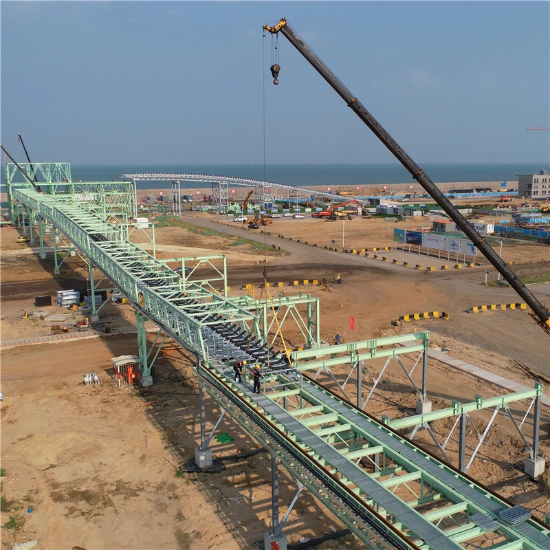 Long Life Steel Roller Conveyor System Belt Conveyor for Mining/Coal/Cement/Power Plant/Concrete Plant/Grain