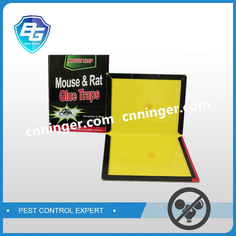 Powerful Insect Killer Rat Mouse Killer Glue Board Trap