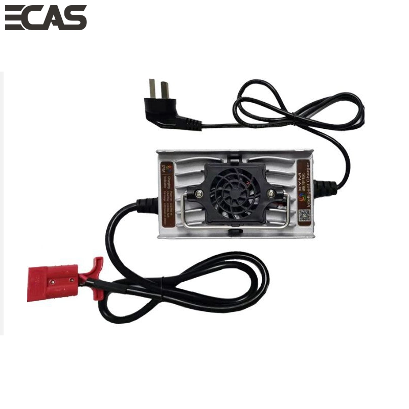 14.6V 20A LiFePO4 cargador de batería, 12V LiFePO4 mantenimiento de la batería Cargador inteligente para barcos Rvs, los vehículos comerciales, las baterías recargables de ciclo profundo