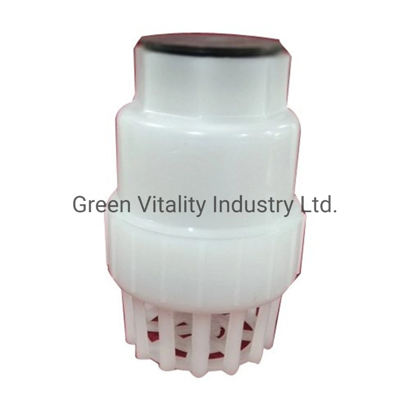 Agriculture Practical Irrigation Plastic Exhaust Valves Plastic Injection Moulded Foot Valve