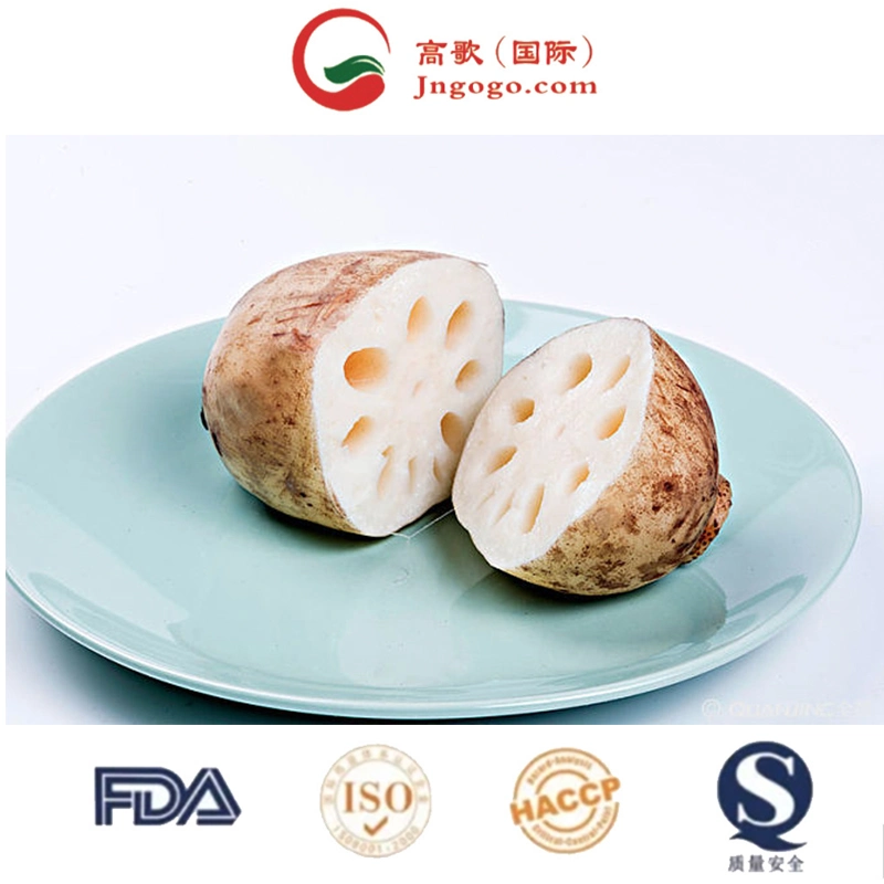 Wholesale/Supplier and Retail Dried Lotus Root Slices