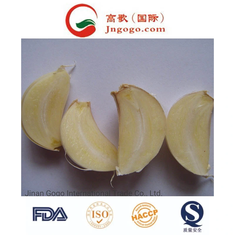 New Crop Pure White Chinese Fresh Peeled Garlic (180-220grains/kg)