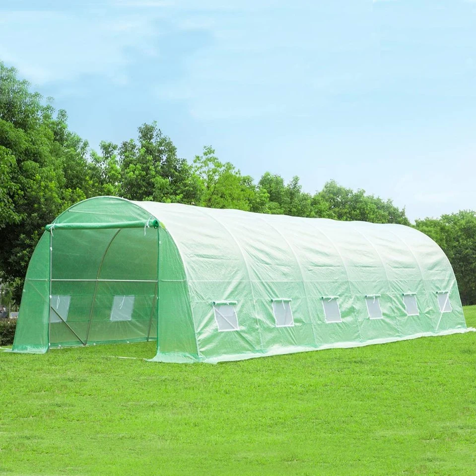 Tomato Green House Cheap Home Garden Mini Greenhouses Manufacturer