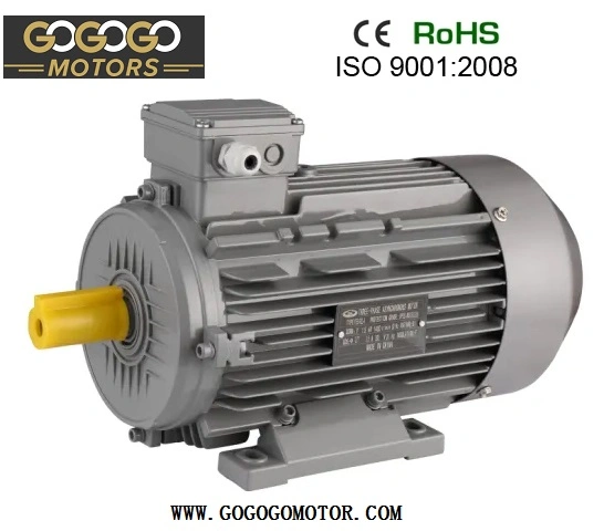 Marcação 50Hz 60Hz Ie2 IE3 Y2 Y YB2 Yd Yej Y Yct Ms indução de Alta Potência do Motor eléctrico IP55 para velocidades de comando da bomba do compressor do ventilador (0,06KW-315KW)