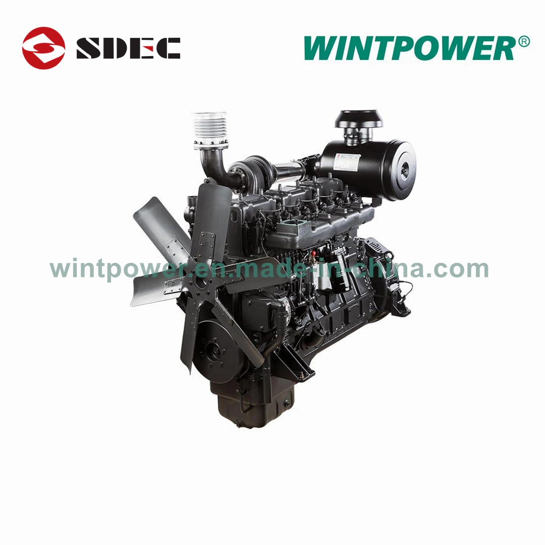 Sdec Fuel Injection Pump S00010119 6p83000f Genuine Original Spare Parts for Shangchai Engine G Series