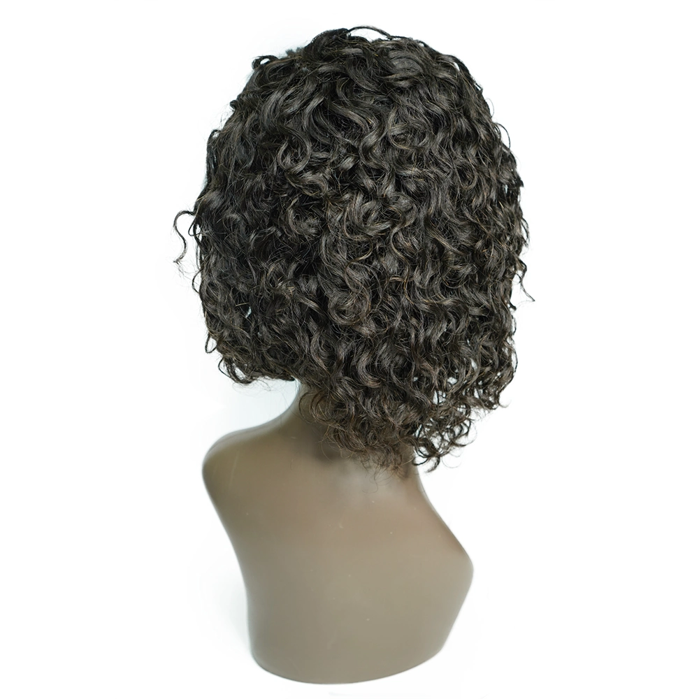 Guangzhou Brazilian Hair Wholesale/Supplier Lace Front Wig 100 Human Hair Factory Short Pixie Wigs