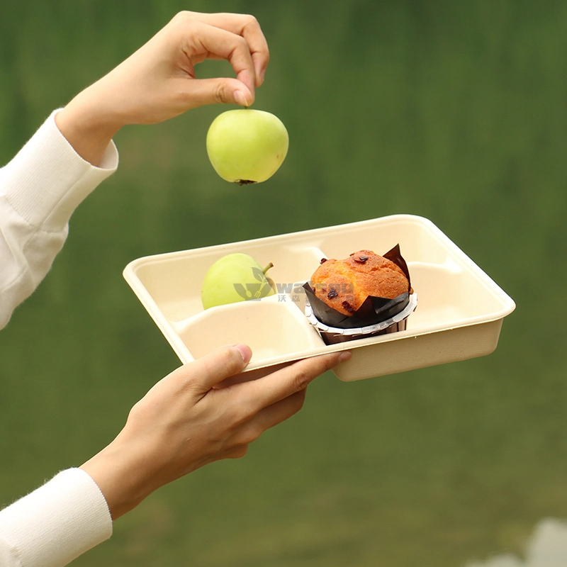 Eco-Friendly Disposable Takeaway Food Tray Biocane Plate Compostable Plates Fast Food Tray 3-Compartment Trays Biodegradable Lunch Food Tray for School, Picnic