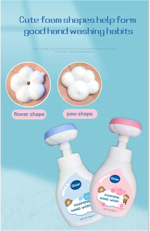 Hot Sale Foam Antibacterial Hand Wash Liquid Soap with Pump Cat and Flower Shape