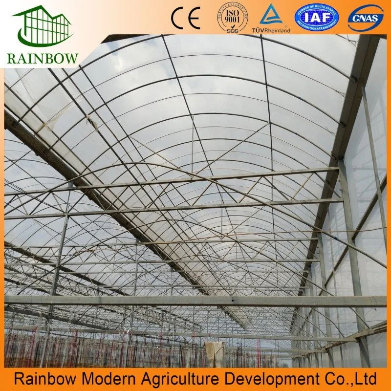 Smart Agricultural Multi Span Arch-Type Film PE/Po Greenhouse for Vertical Farming Agriculture of Vegetables/Flowers/Tomato/Garden with Hydroponics System