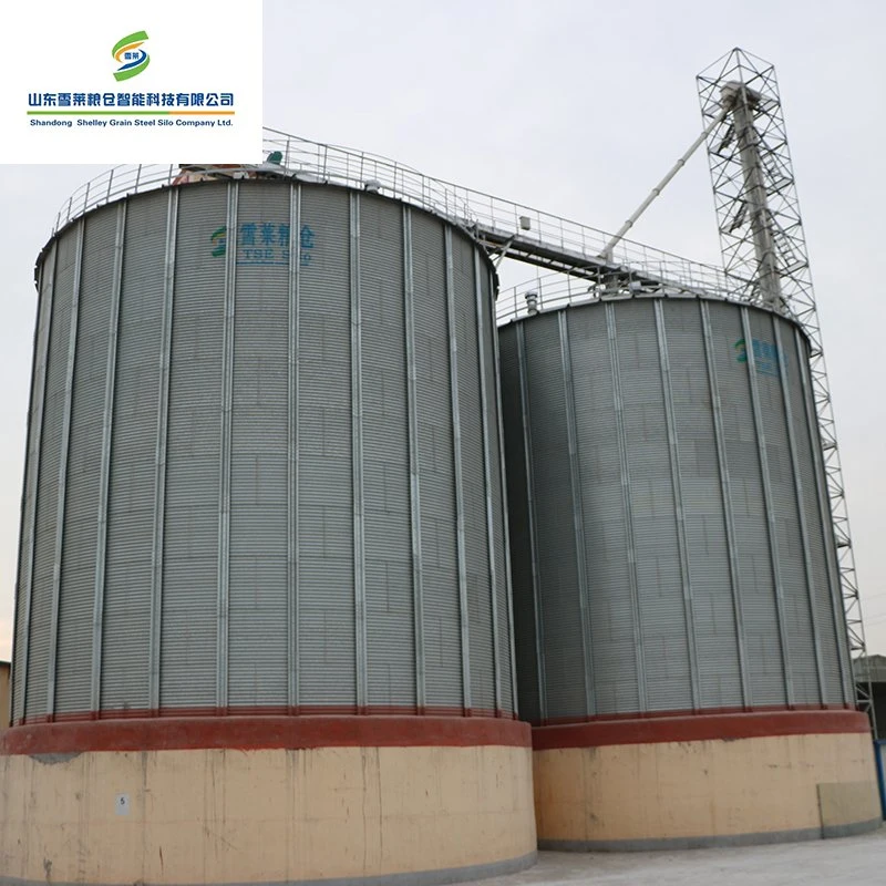 Fondo plano silos de grano con gran capacidad Trigo Maíz Sorgo Silo de almacenamiento de arroz