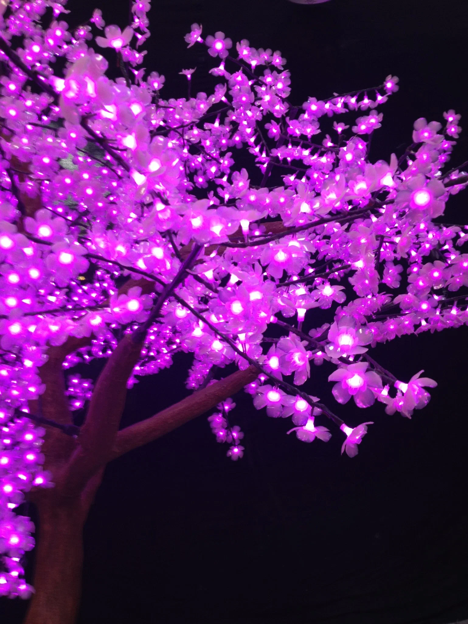 Arbre de la cerise de LED de tension de sécurité