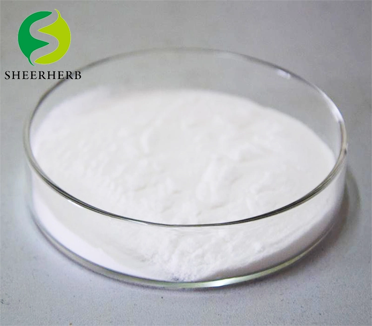 Pharmaceutical Chemical Metformin Hydrochloride Sheerherb Factory Bulk High Quality Hot Price CAS 1115-70-4