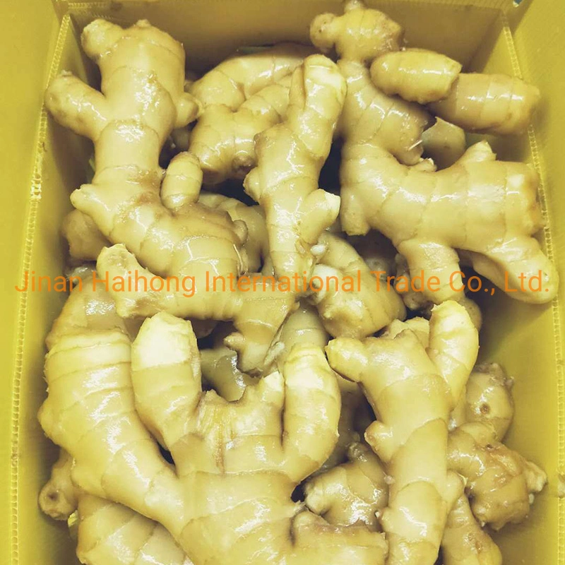2019 New Crop Fresh Ginger From Shandong