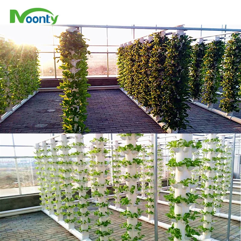 Vertical Aeroponics Farming with Tower Farms