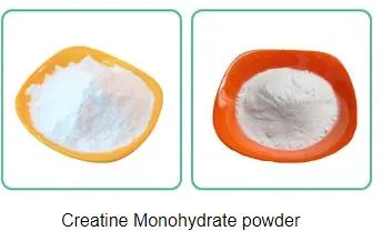 Creatine Monohydrate Powder 500 Grams (1.1 LBS)