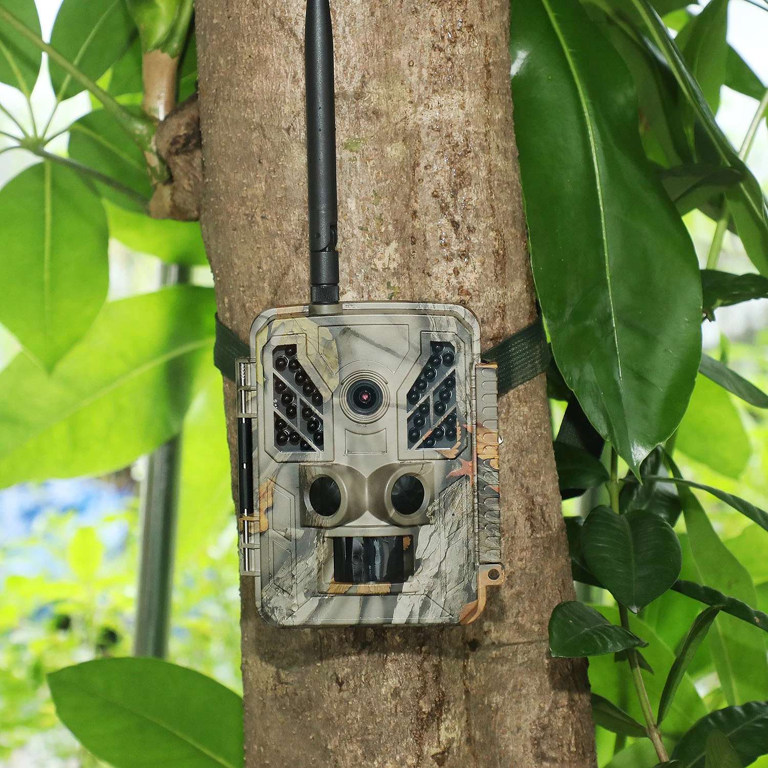 Bstcam Infrared 4G Hunting Trail Camera