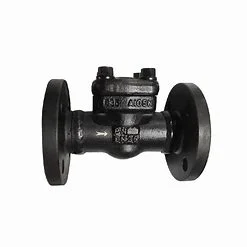 Solid Flange Forged Steel Check Valve