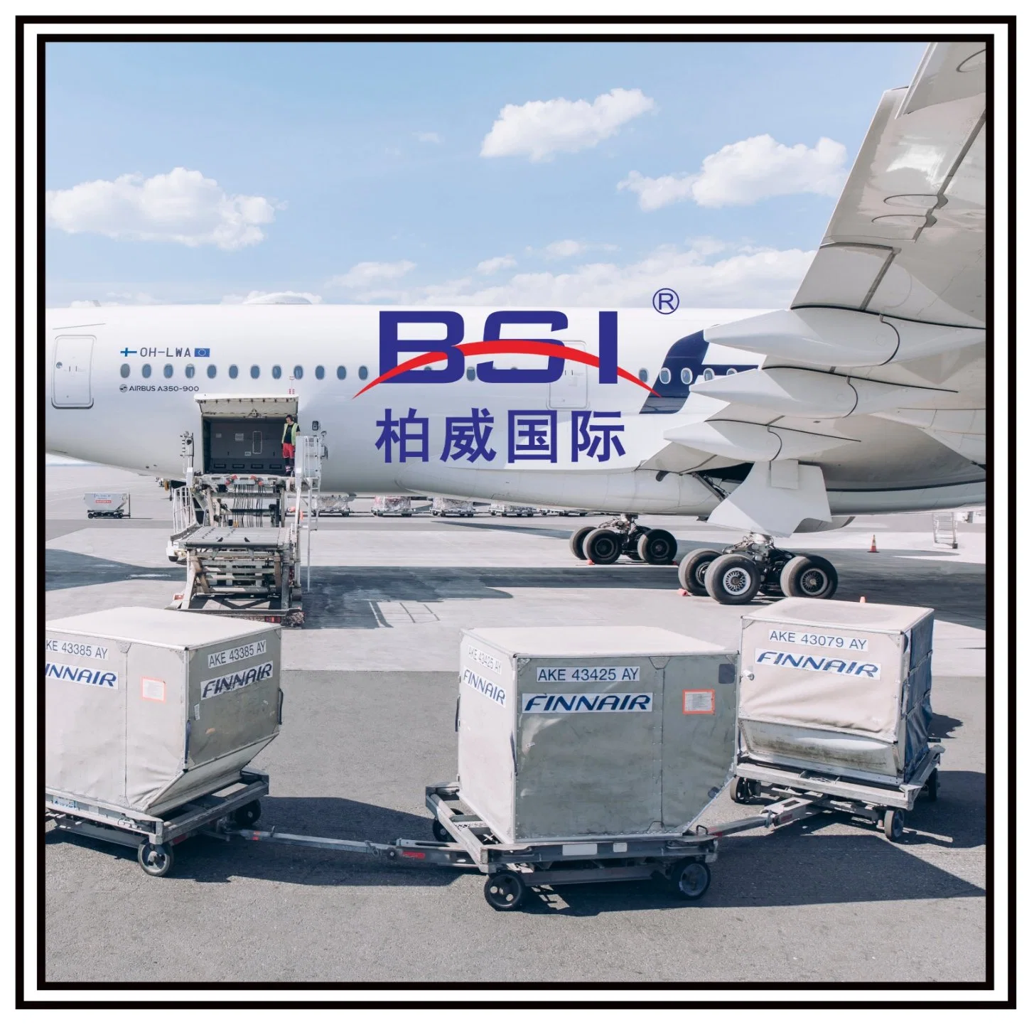 Shanghai Air Cargo Shipping Service nach Mexiko-Stadt,