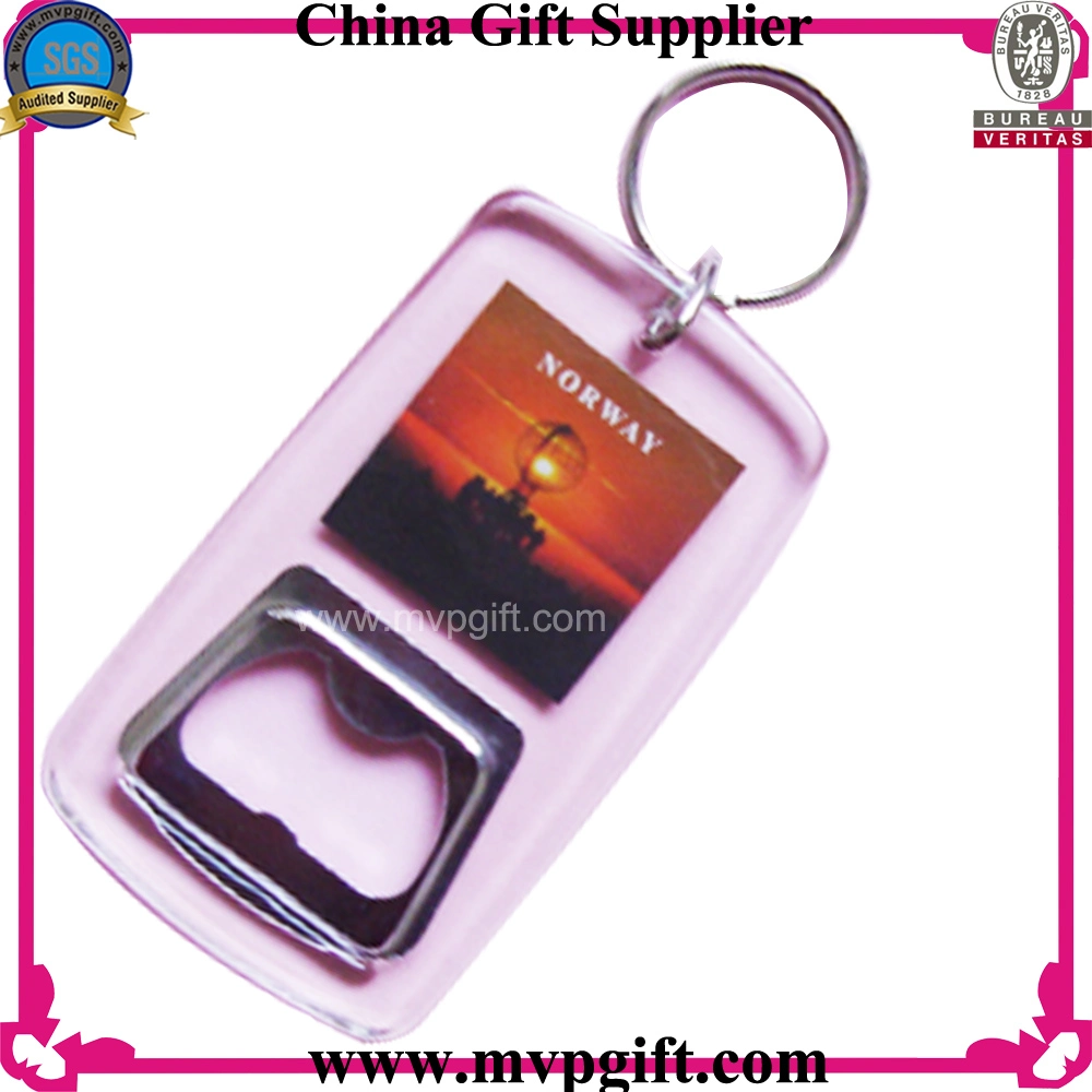 Promotion Key Ring for Plastic Keychain (m-PK15)