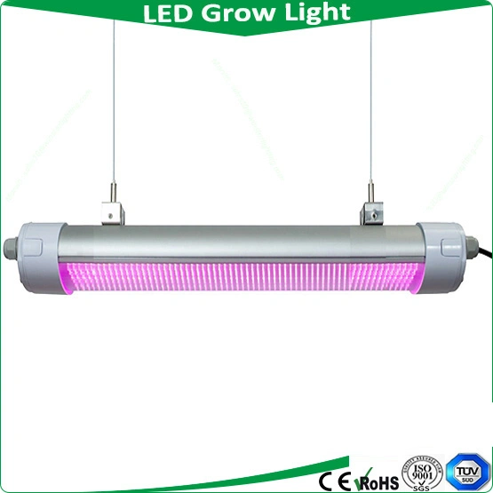 China Wholesale Distributor 150W IP65 LED Grow Light, LED Tri Proof Light, LED Fluorescent Light, Mini Projector