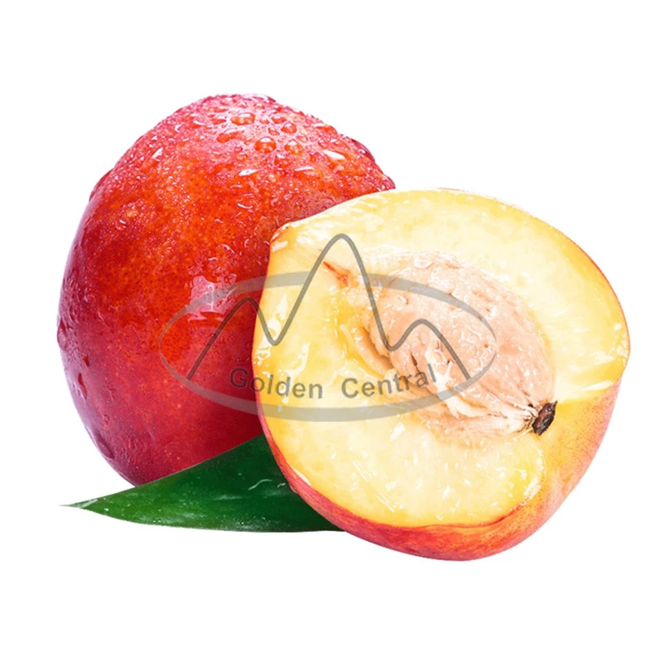 2023 Neue frische Nectarine Peach mit niedrigem Preis