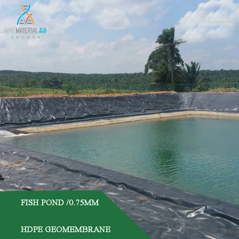 Black White Blue Green (Customized) HDPE Geomembrane Sheet Dam Liner