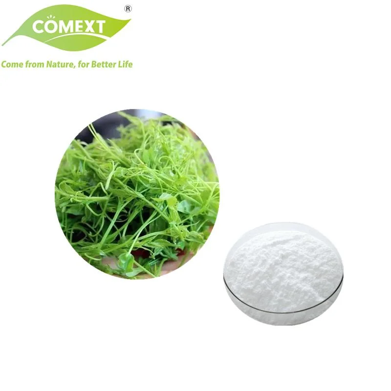 Comext ISO Kosher certifiées halal antioxydant organiques purs usine extrait de thé de vigne pour les cosmétiques et le supplément en poudre