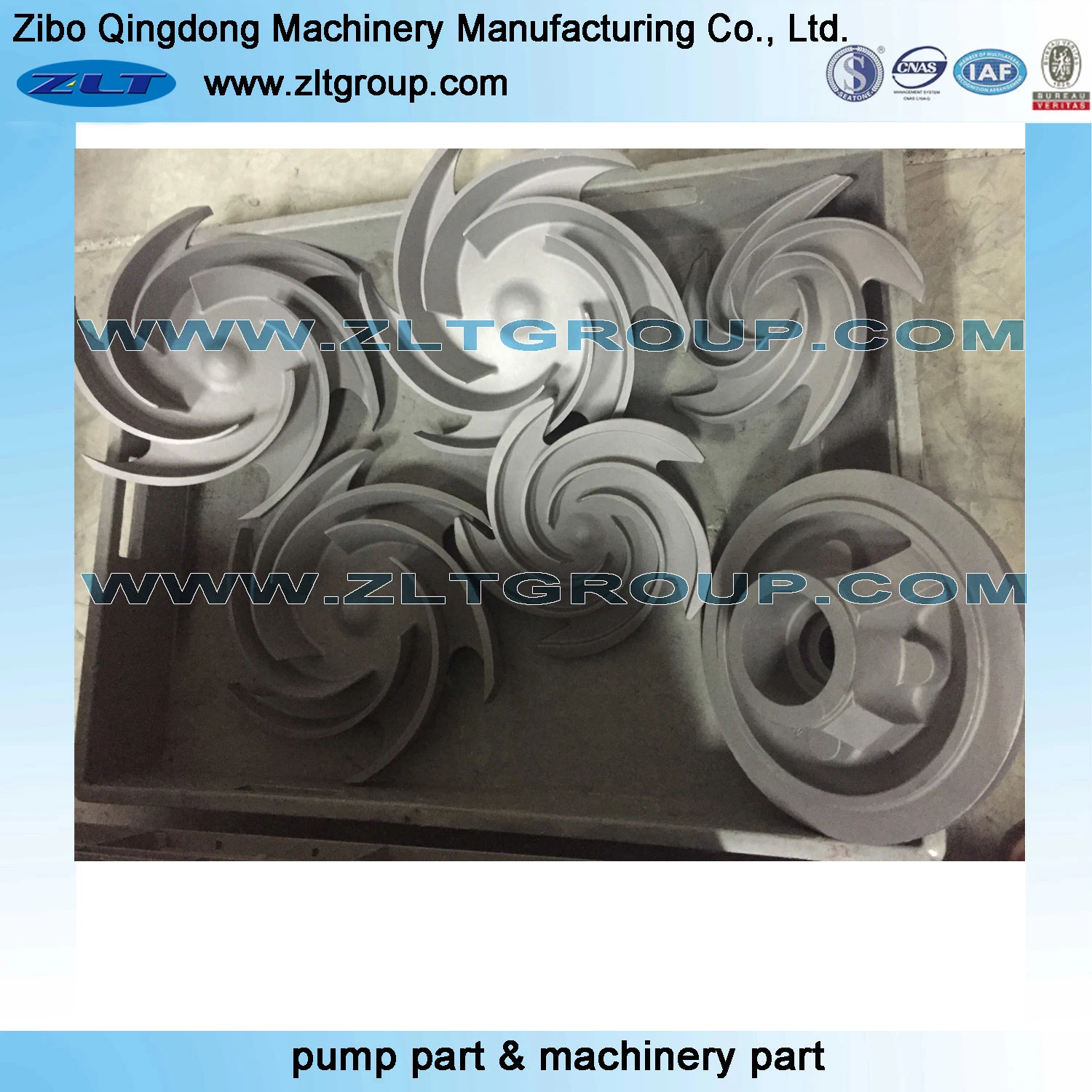 Centrifugal Chemical ANSI Process Zlt Mark III Pump Stuffing Box Cover in Titanium Alloy/Stainless Steel