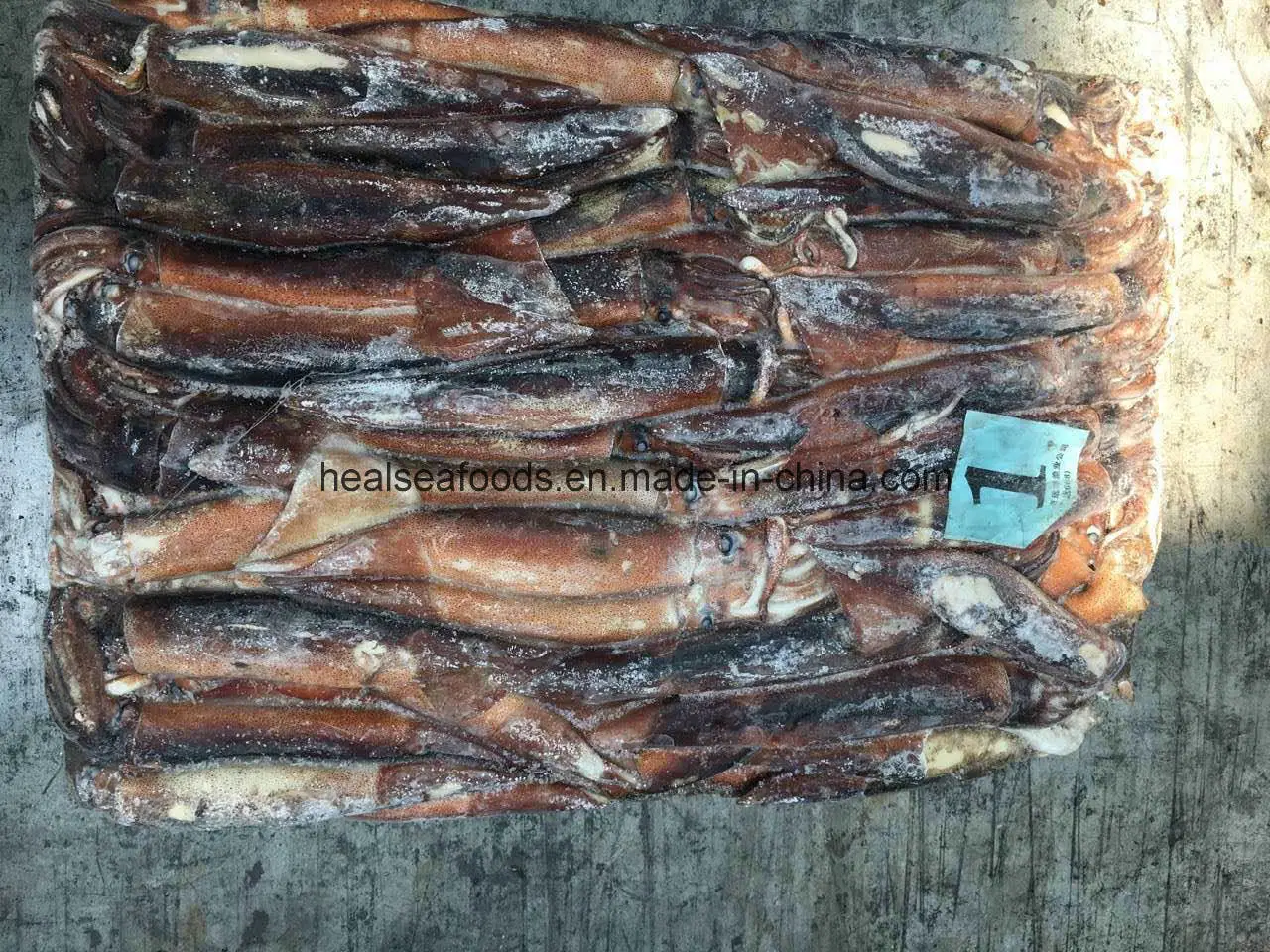 Frozen Argentina Squid Size 32