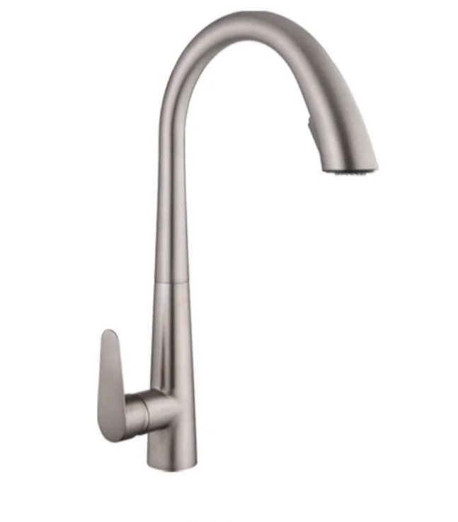 SUS304 Kitchen Pull-out Spray Mixer Faucet Water Tap