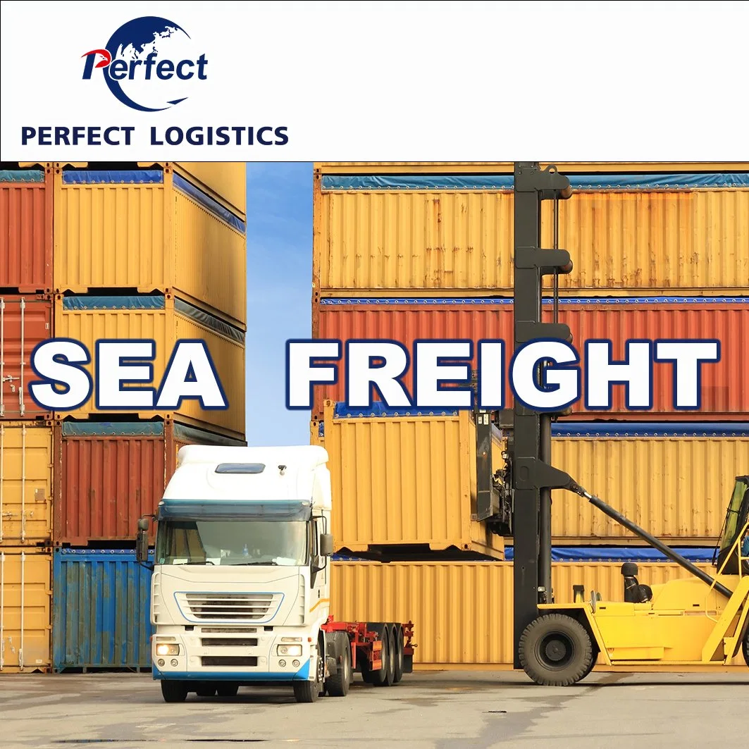 Ocean Shipping Fowarding Agent From China to Czech Republic/Austriacroatia/Sweden