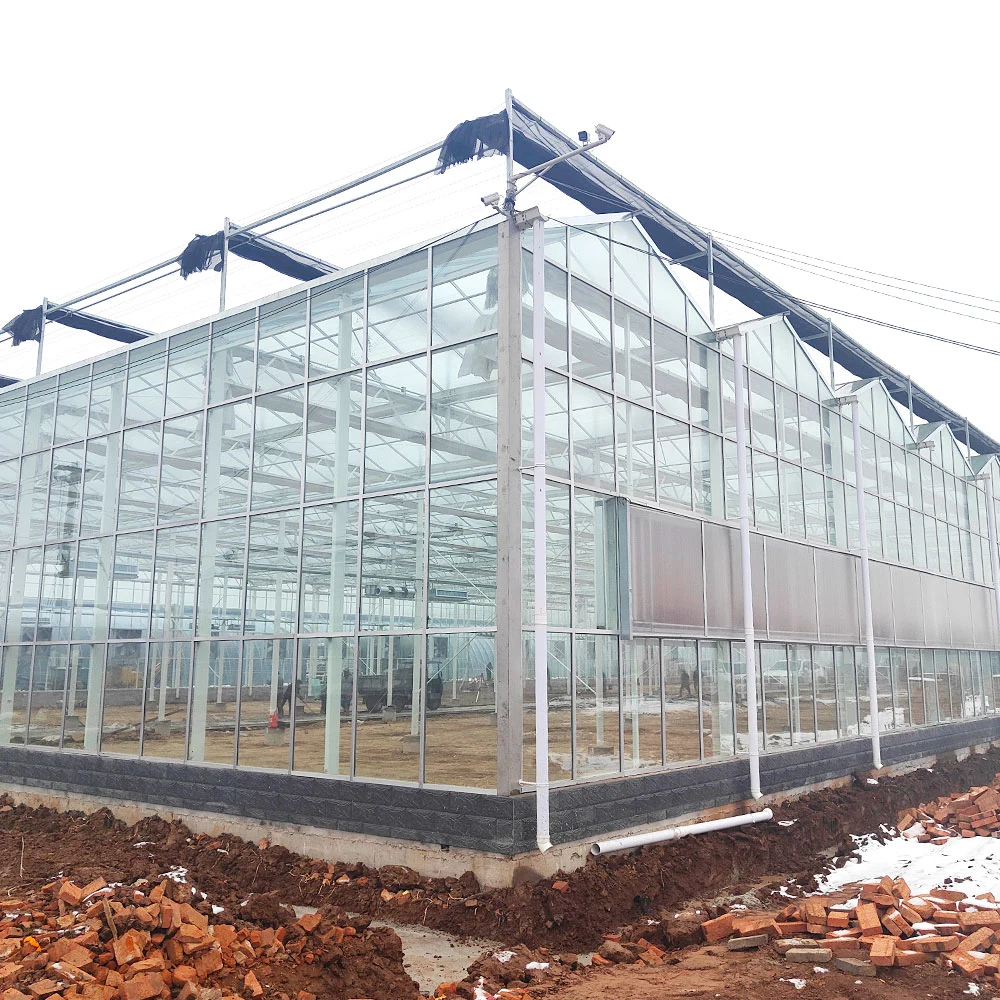 Günstige Multi-span / Single Landwirtschaft Tunnel gewölbte Kunststoff-Film-Glas Gewächshaus für Bauernhof / Garten mit Saatbett hydroponic Kühlung nassen Vorhang