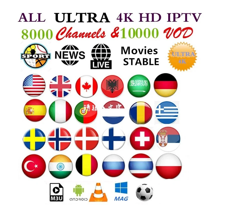 IPTV Subscription 12 Months M3u 4K for Android TV Box IPTV Smarters IP TV Subscription