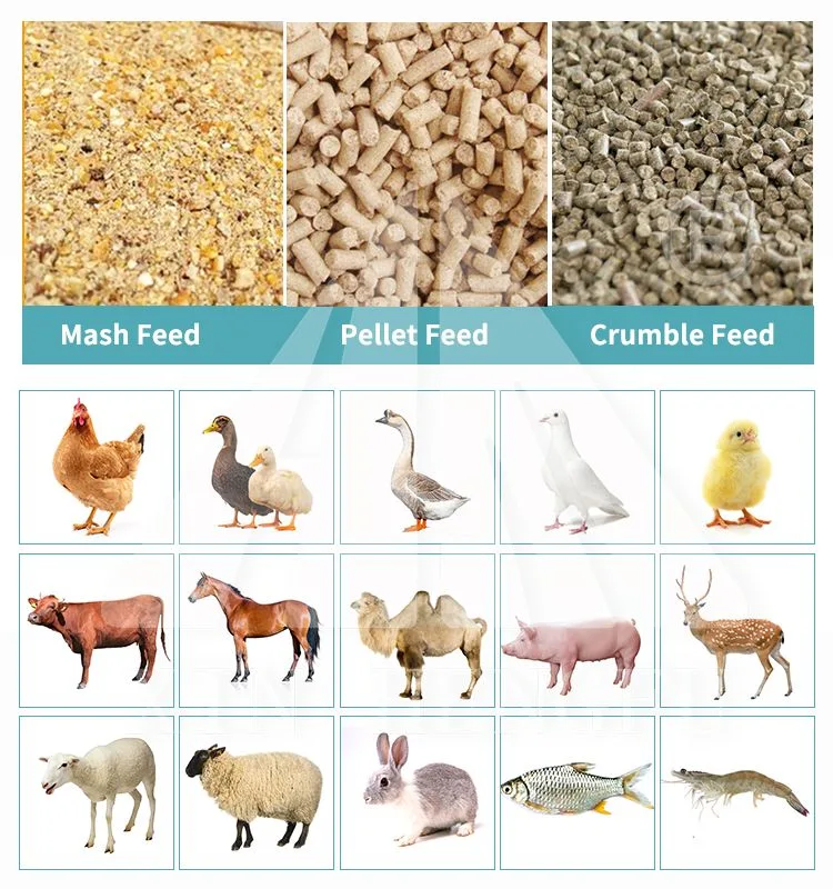 Alimentação de peixes máquina de Pelotas alimento animal Pellet Máquina de processamento