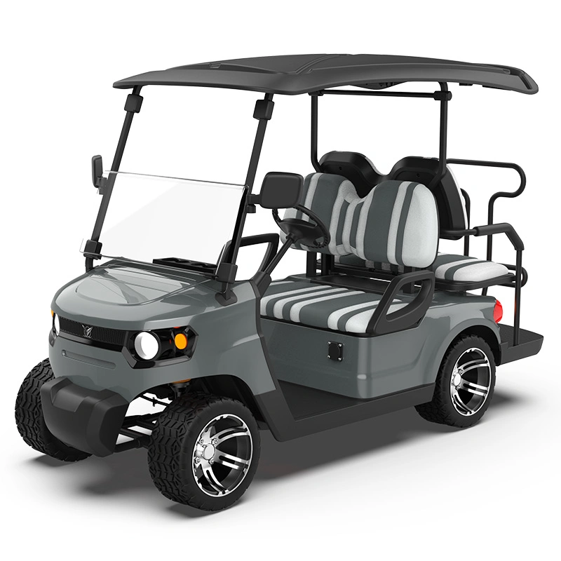 Haute puissance Qualité stable Prix bon marché Design de forme à la mode Luxueux ODM 6 places Voiturette de golf tout-terrain électrique surélevée.