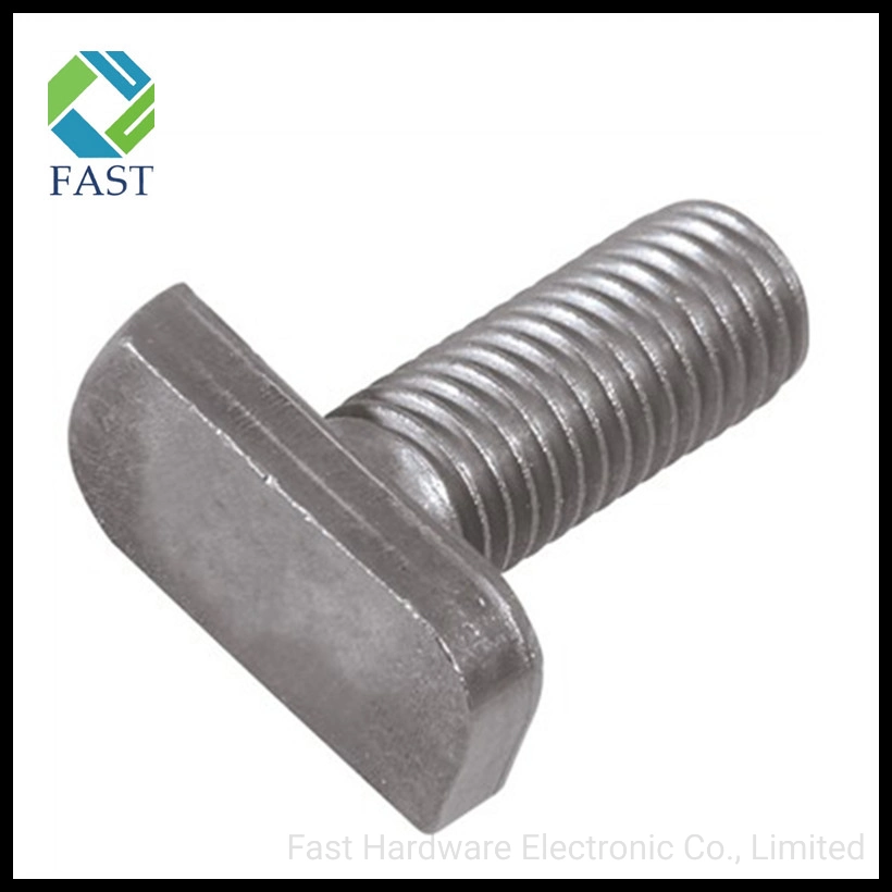 Made in China Non-Standard Fastener Steel T Bolt