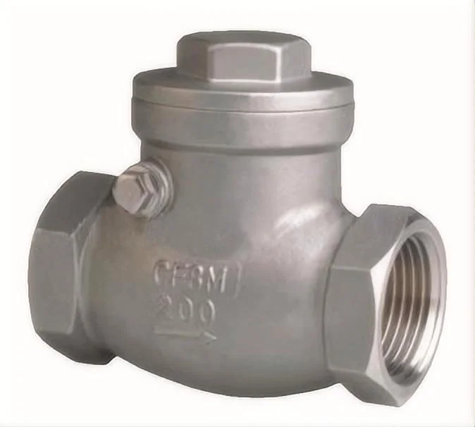 Check Valve, Cast Iron, ASME Class 125, Full Body Swing Check (no lever/weight)