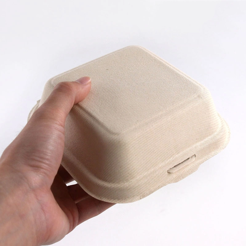 Biodegradable Burger Box Custom-Made Biodegradable Disposable Lunch Box, Takeaway Box