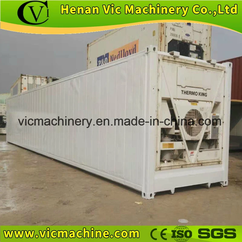 Multiple Function Seafood Used Reefer Container