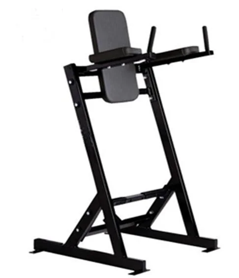 Commercial Sports Exercise Gym Fitness Equipment Free Weight Leg Raise