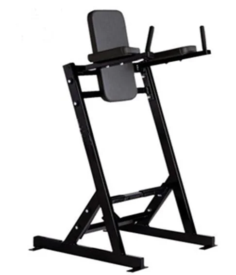 Salle de Gym Sports commerciale des appareils de fitness gratuit Lever de jambe de poids