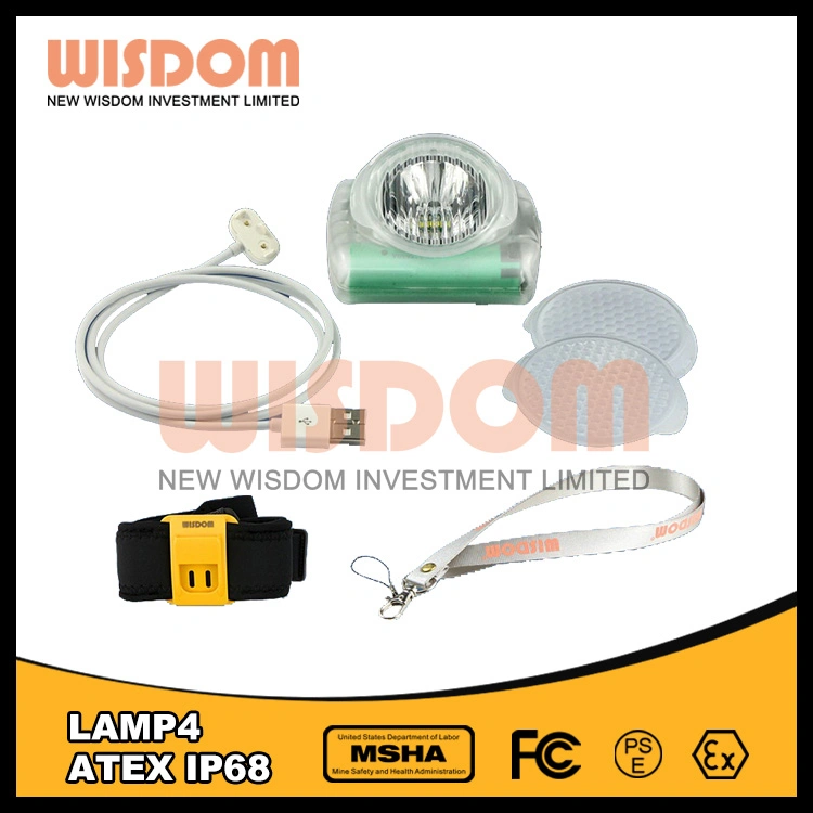 New Wisdom Fashion Belt for Hanging Lamp