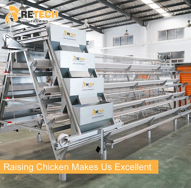 Deep V type chicken feeding A type cage system for poultry breeding